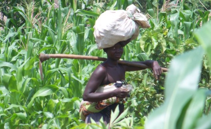 Uganda Activists