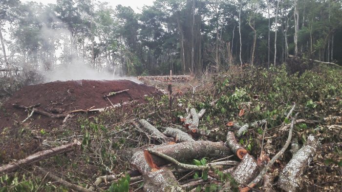 CSOs Petition NCBA Bank Over Hoima Sugar Limited Abuses