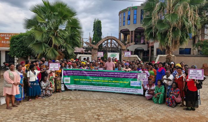 NAPE Joins Nationwide Commemoration of 16 Days of Activism Against Gender-Based Violence