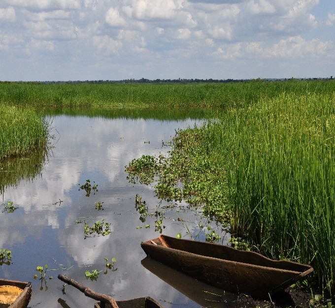Transforming the Nabakazi Wetland Ecosystem conservation as a shared Community vision through Partnership, Community Action, and Sustainable Solutions.