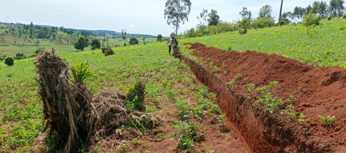Knowledge and Incentives blooming Conservation for a greener future in Mubende District